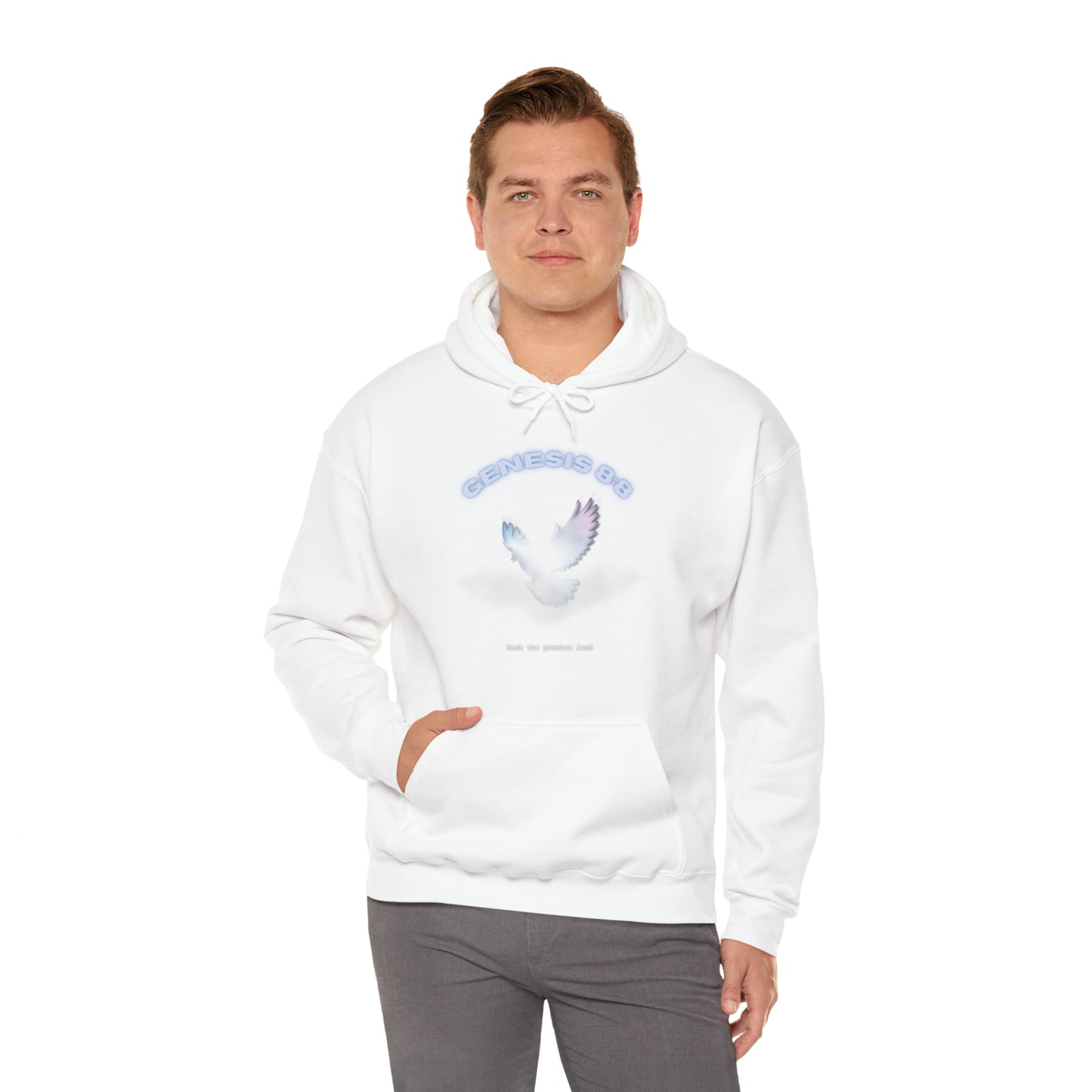 Seek the promise land - hoodie