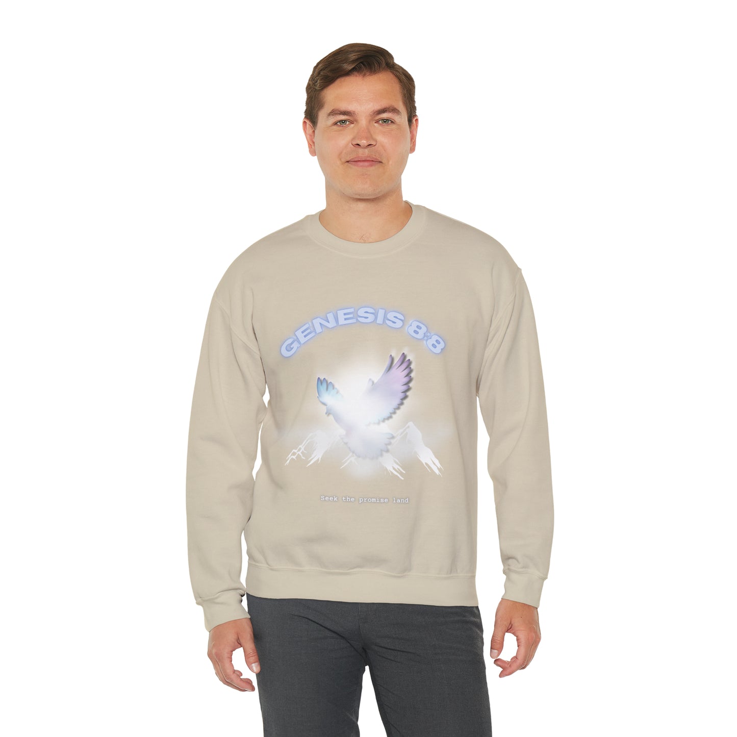 Seek the promise land crewneck