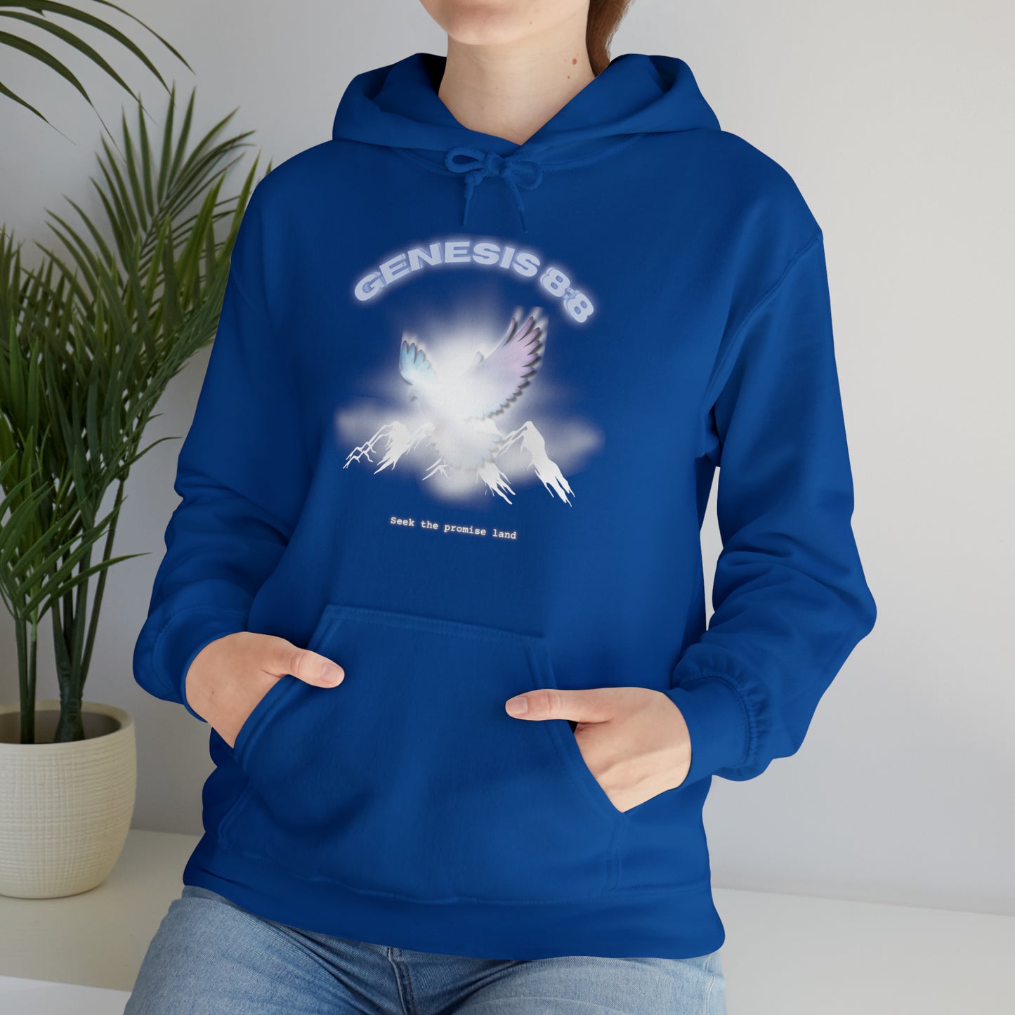 Seek the promise land - hoodie