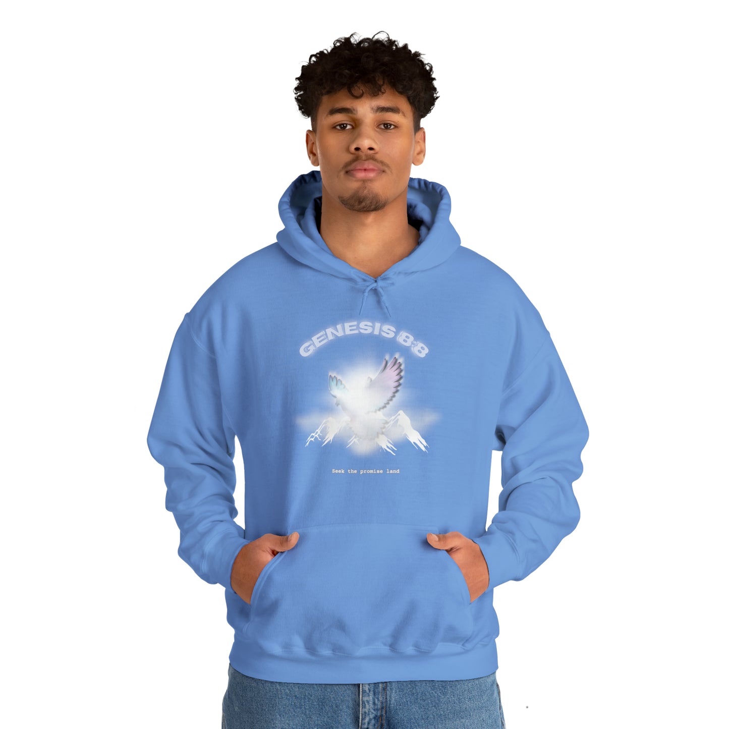 Seek the promise land - hoodie