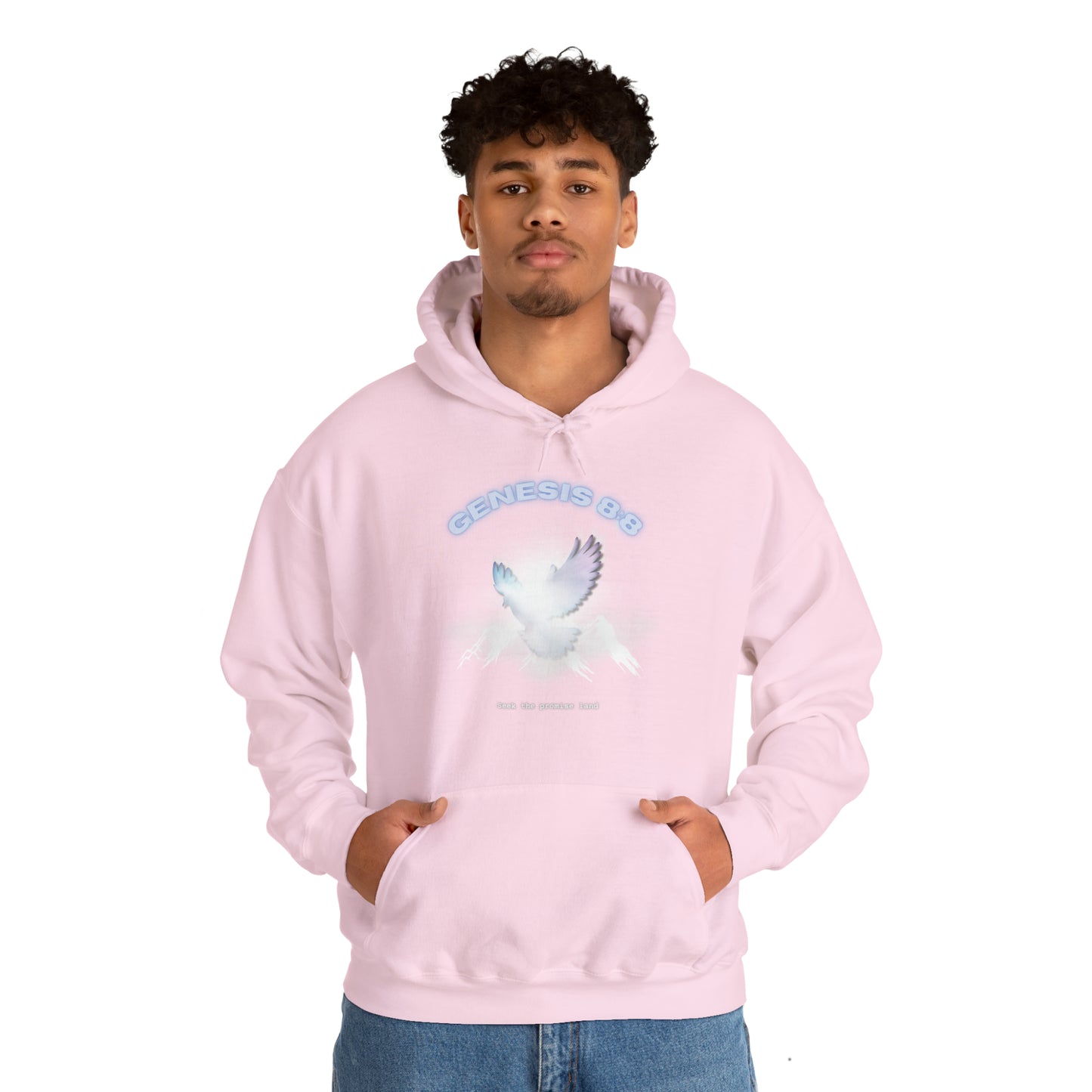 Seek the promise land - hoodie