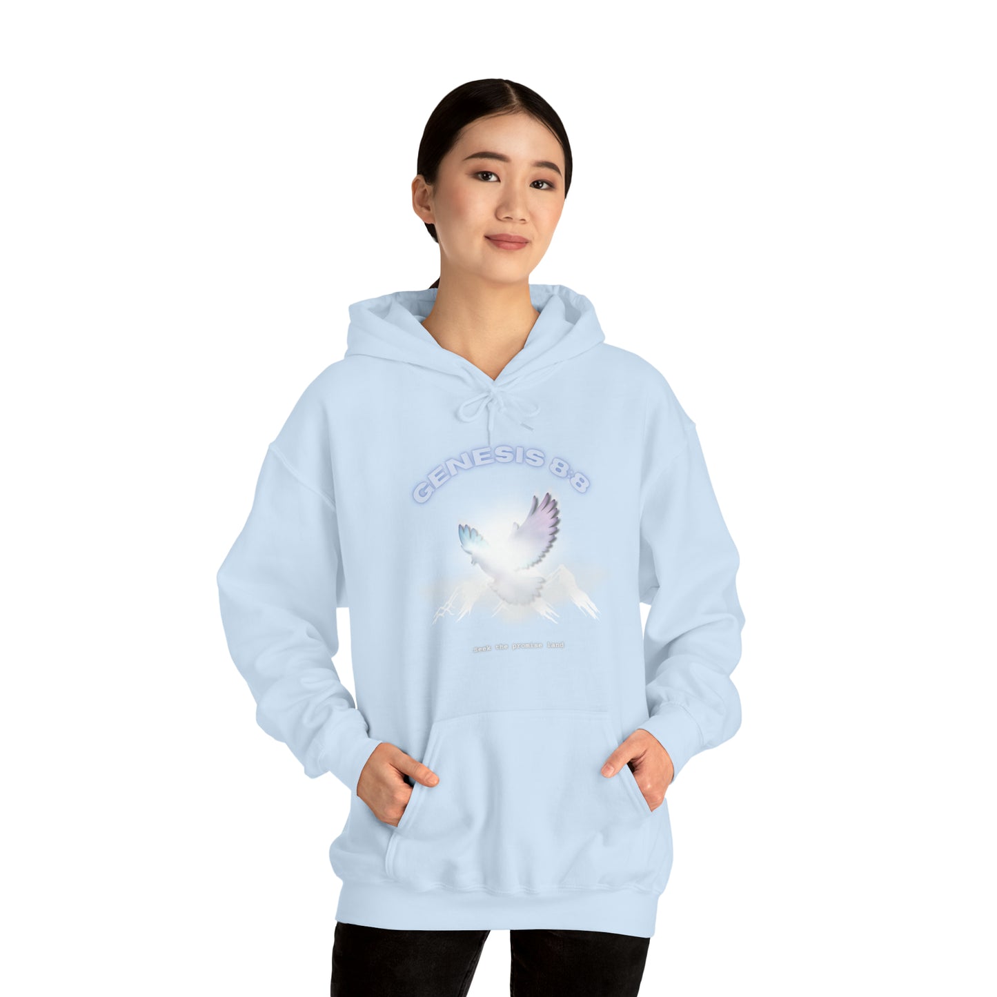 Seek the promise land - hoodie