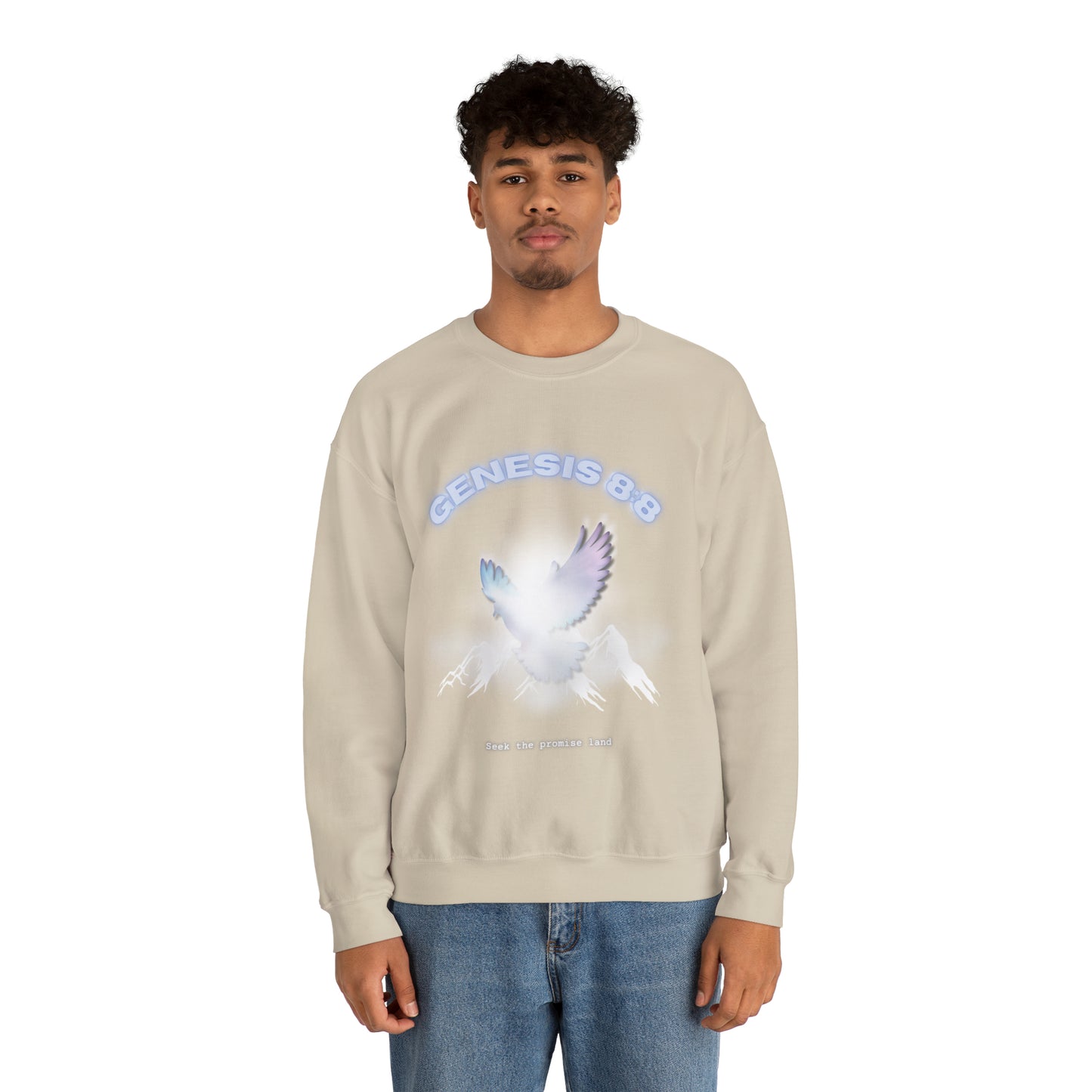 Seek the promise land crewneck