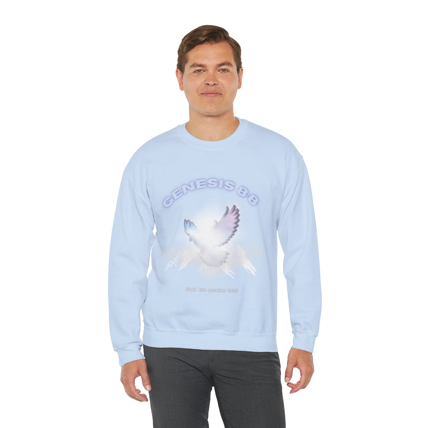 Seek the promise land crewneck