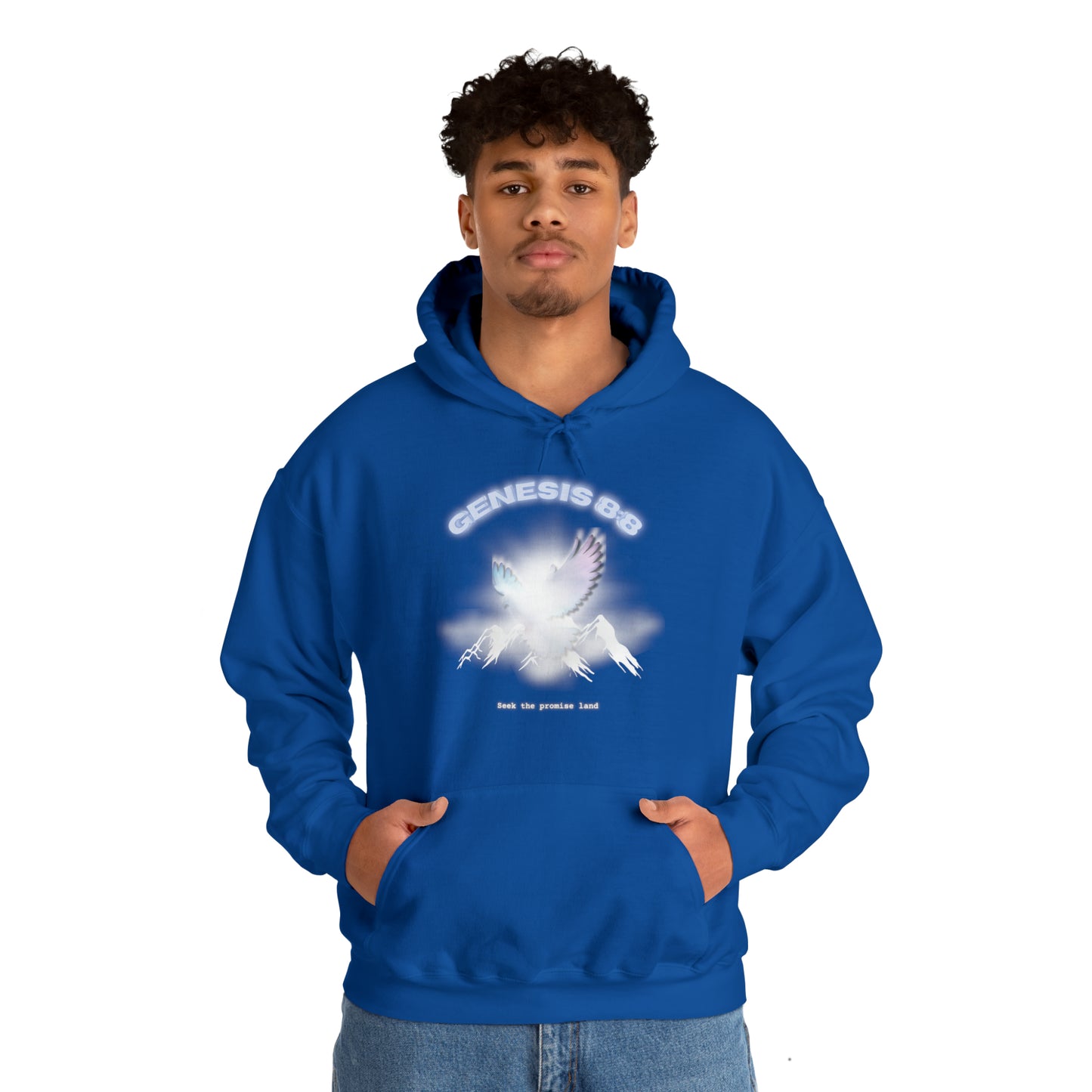 Seek the promise land - hoodie