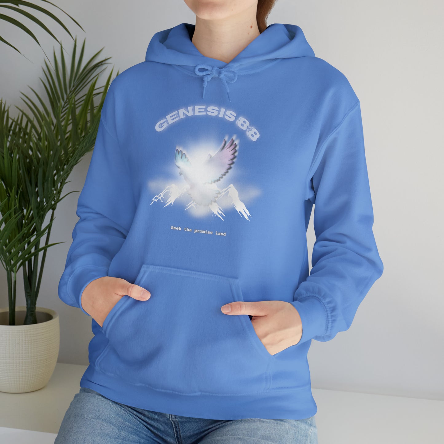 Seek the promise land - hoodie