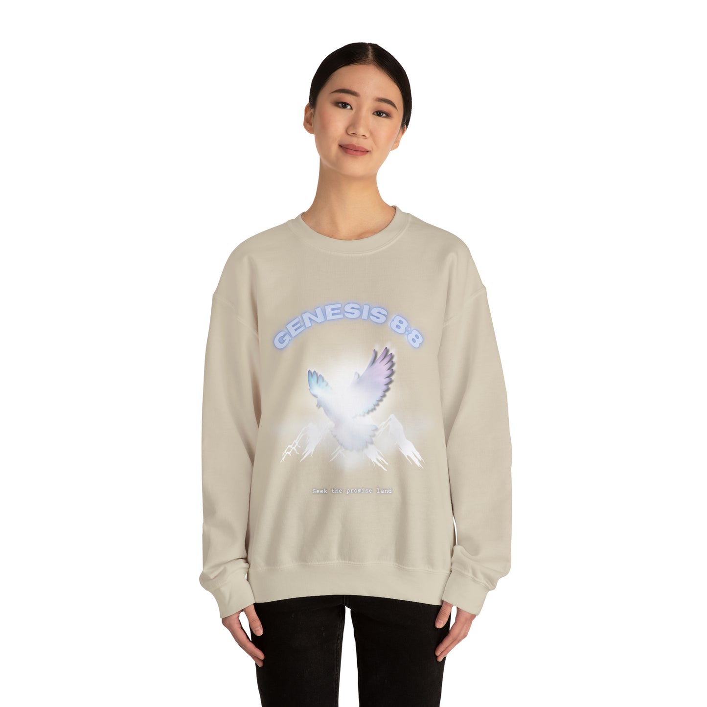 Seek the promise land crewneck