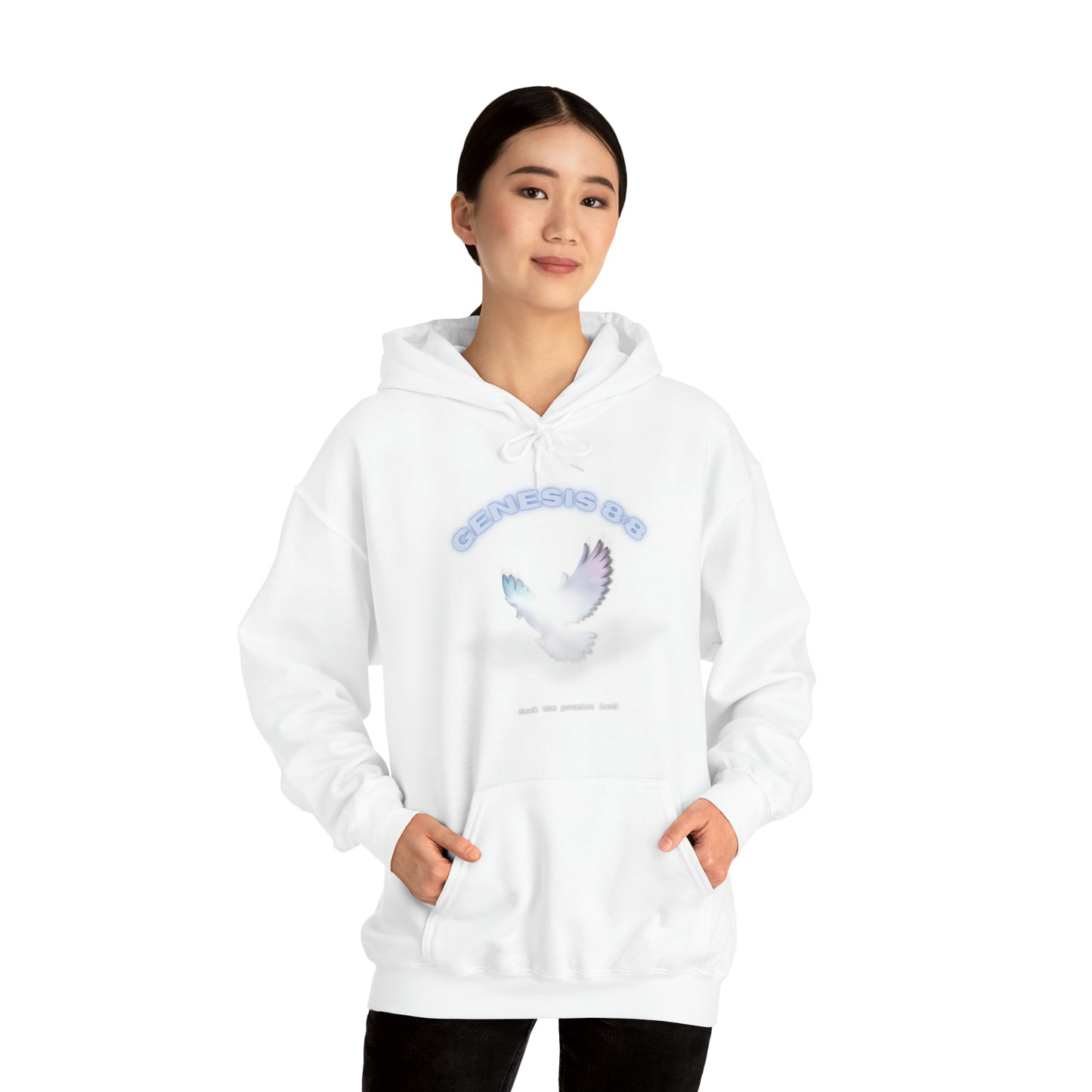 Seek the promise land - hoodie