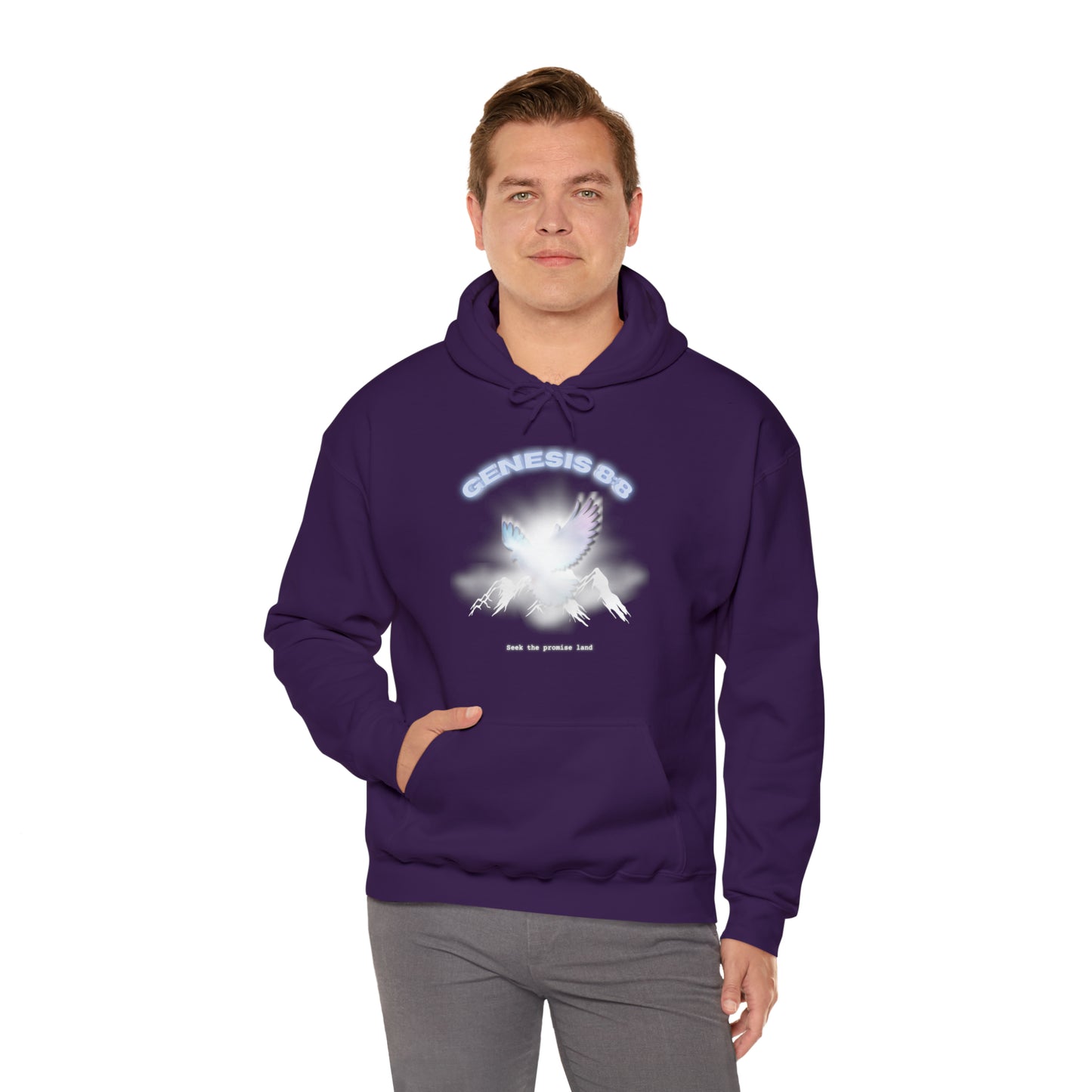 Seek the promise land - hoodie