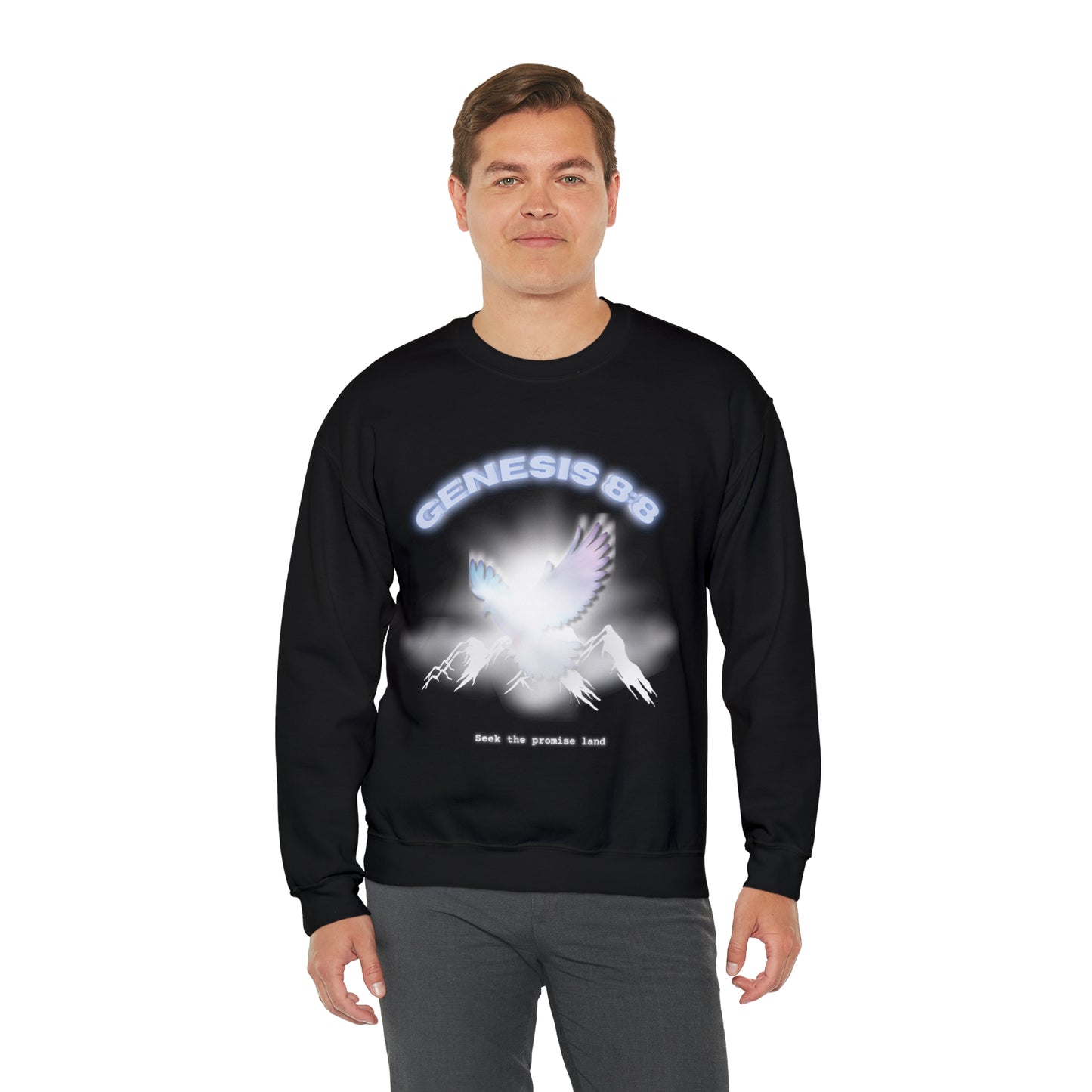 Seek the promise land crewneck