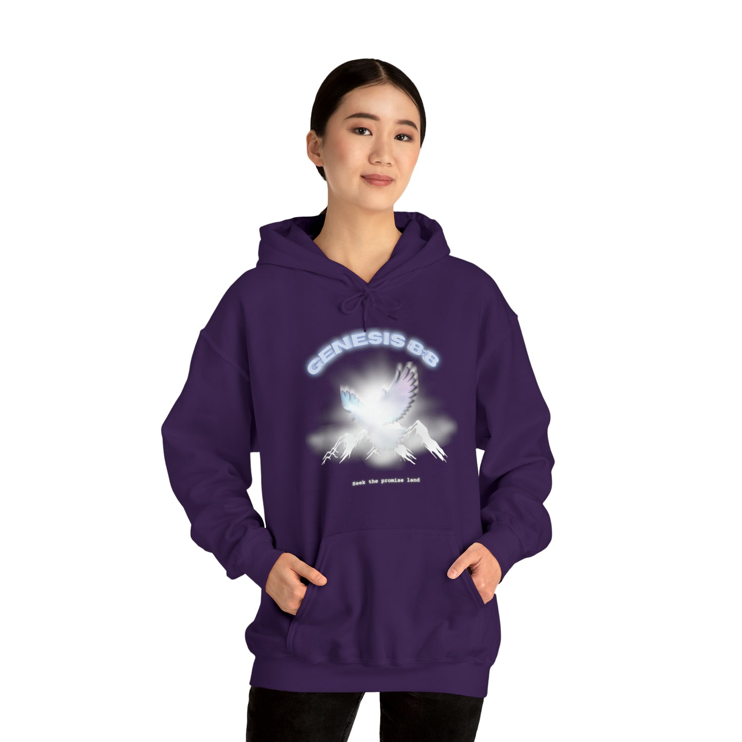 Seek the promise land - hoodie