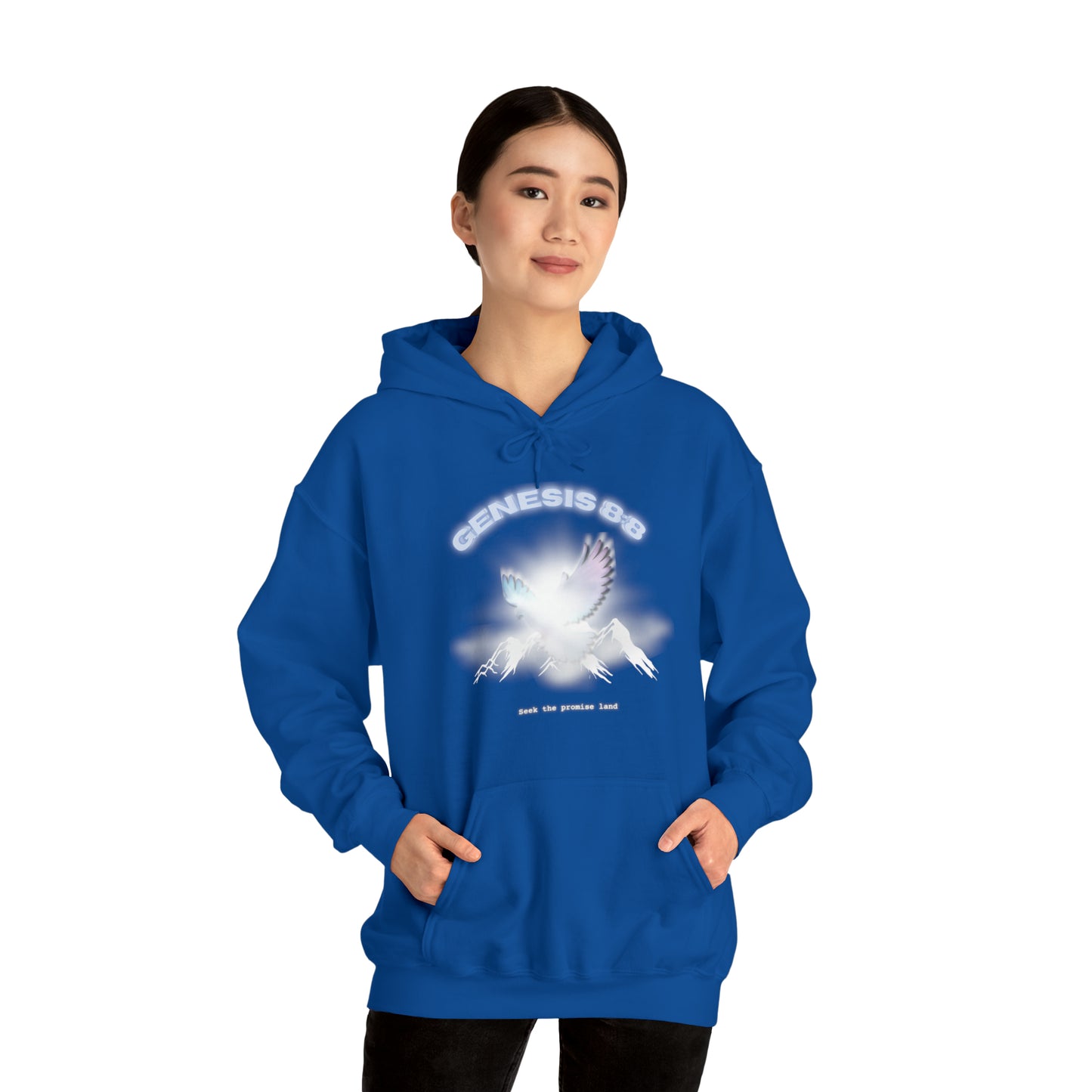 Seek the promise land - hoodie