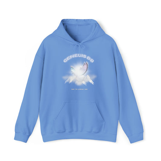 Seek the promise land - hoodie