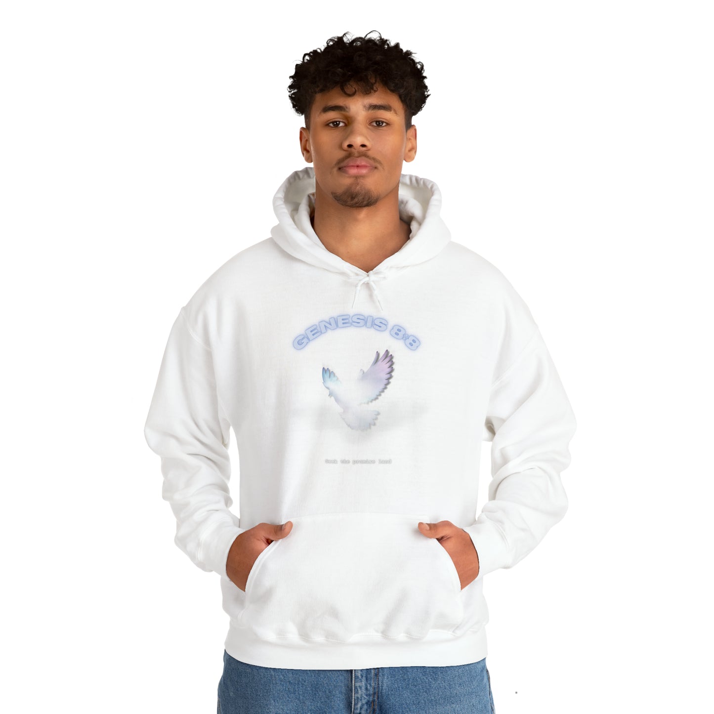 Seek the promise land - hoodie