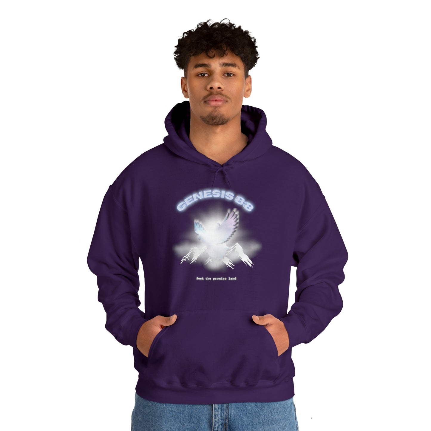 Seek the promise land - hoodie