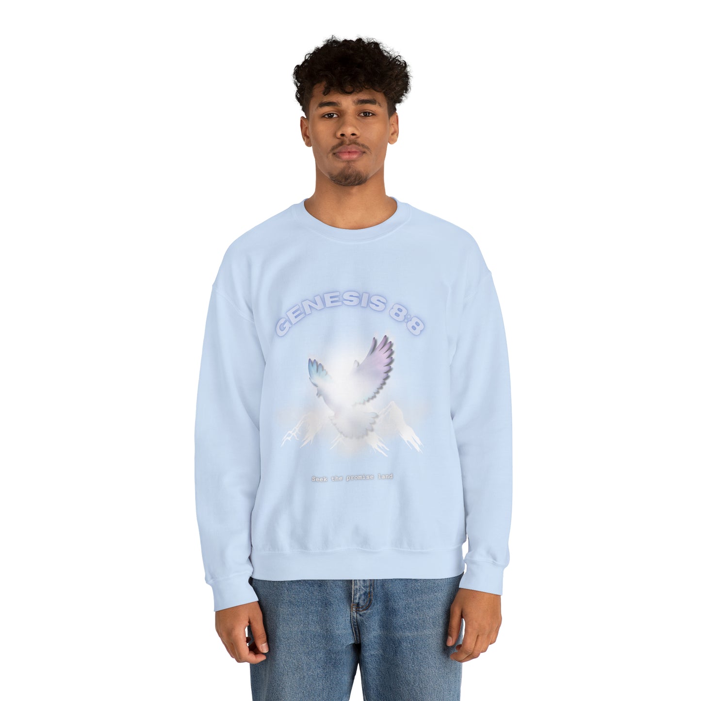 Seek the promise land crewneck