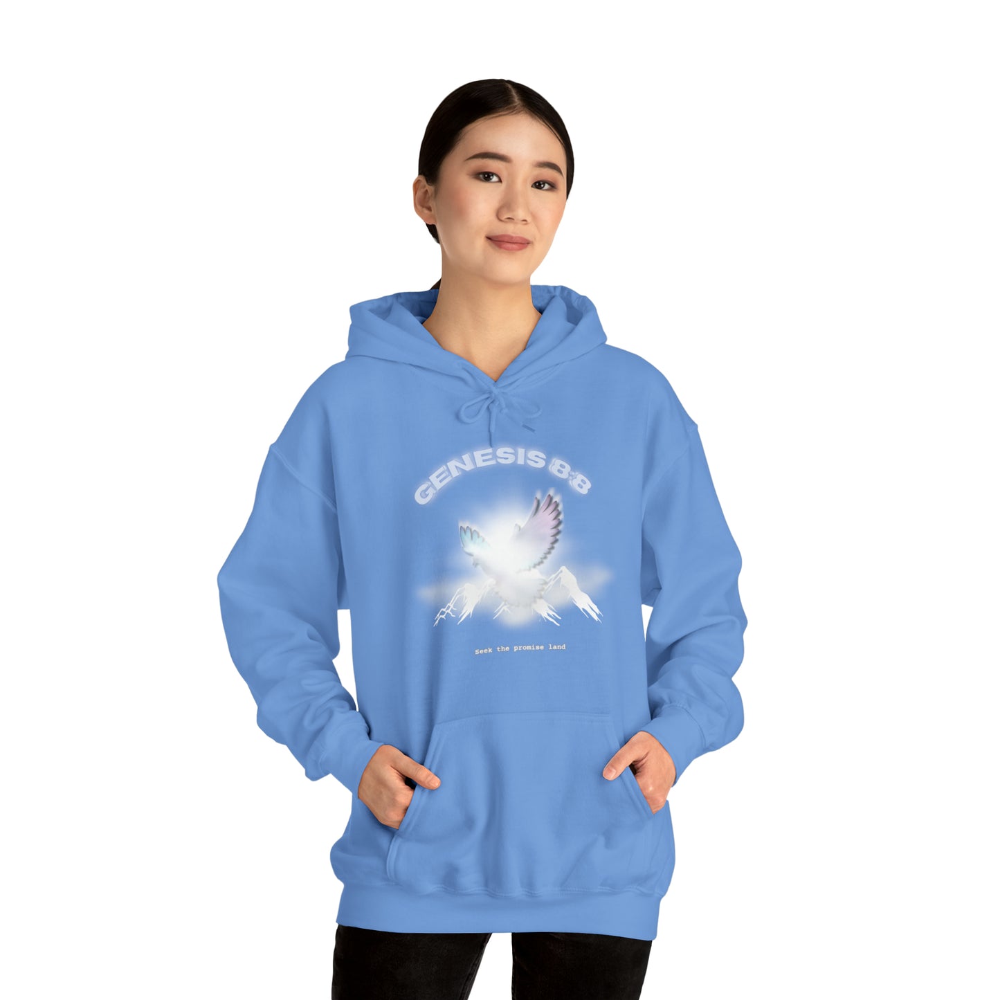 Seek the promise land - hoodie