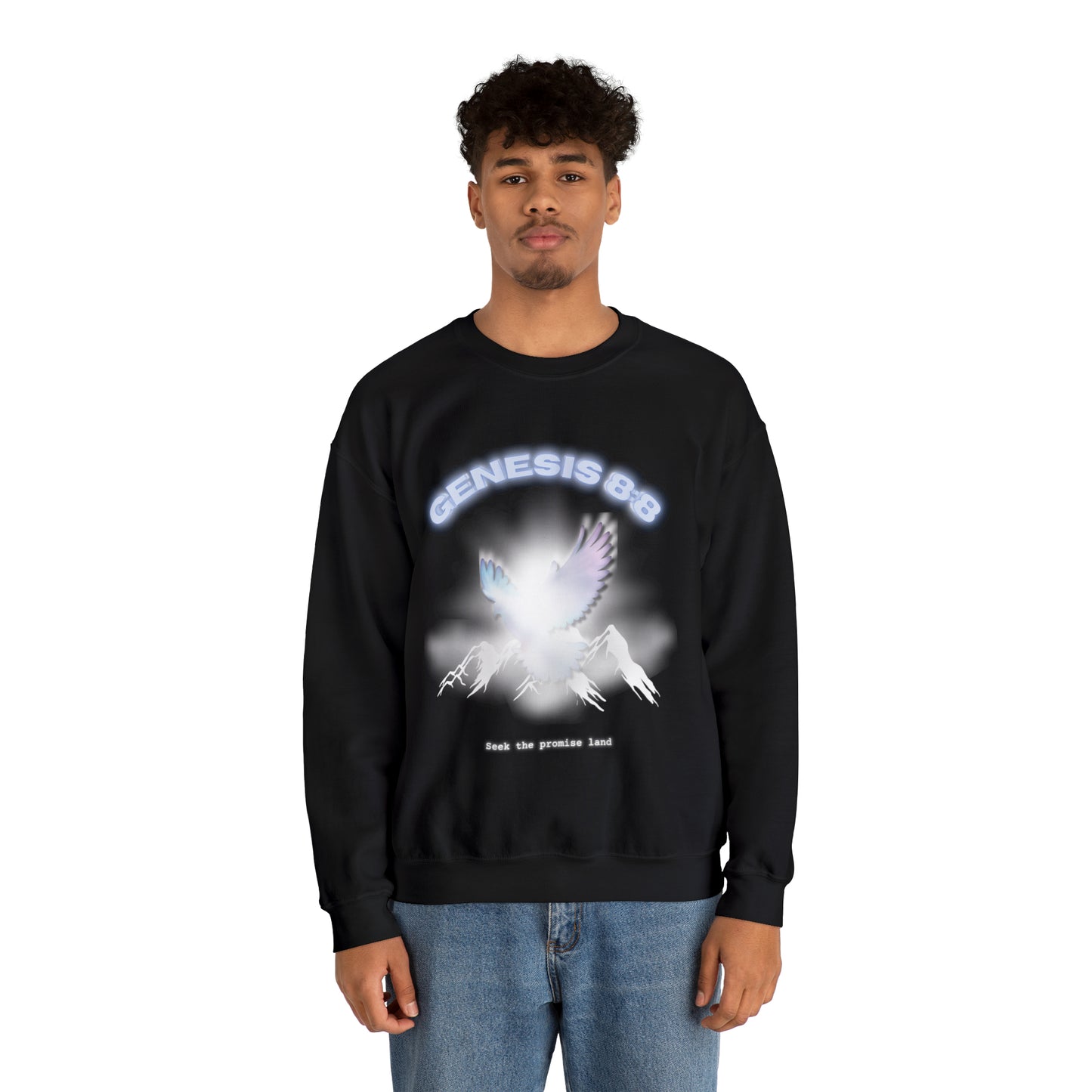 Seek the promise land crewneck