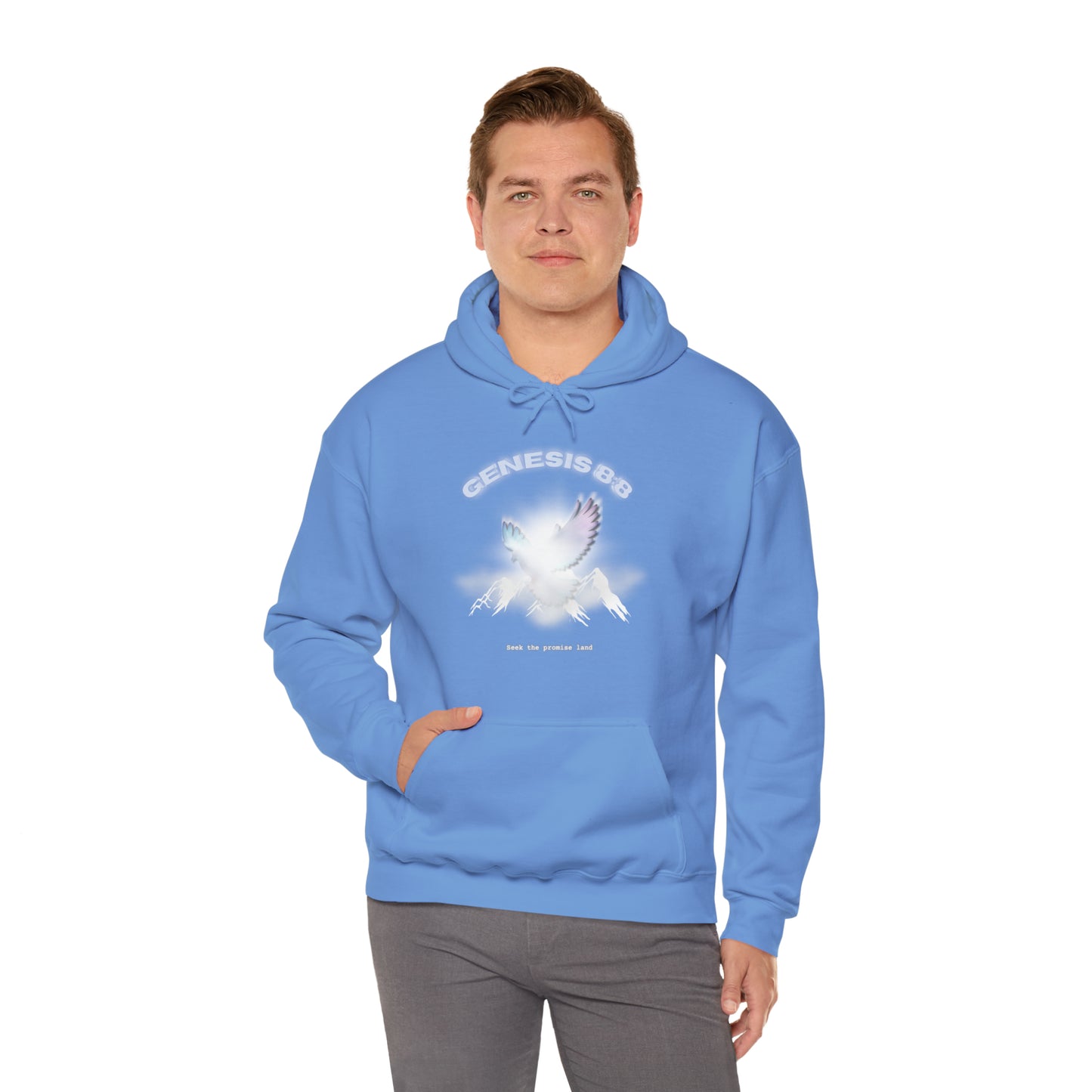 Seek the promise land - hoodie