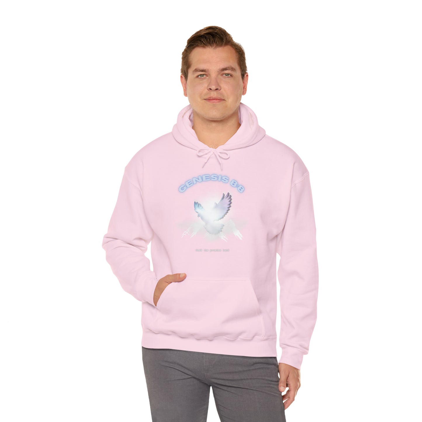 Seek the promise land - hoodie